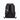 Lavie Sport Vogue Laptop backpack 17L |Multifunctional Laptop Backpack with Trolley sleeve For Men & Women 